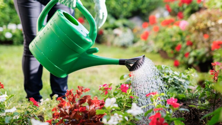 Ein Garten wird mit Gießkanne gegossen